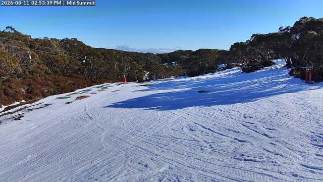 Webcam Mount Baw Baw: Mid Summit