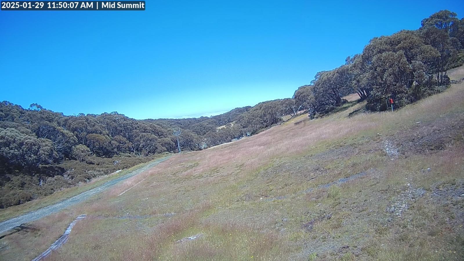 Webcam Mount Baw Baw: Mid Summit