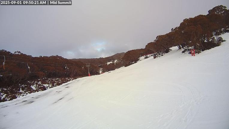 Webcam Mount Baw Baw: Mid Summit
