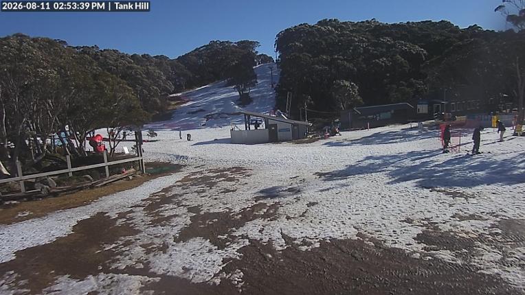 Webcam Mount Baw Baw: Tank Hill
