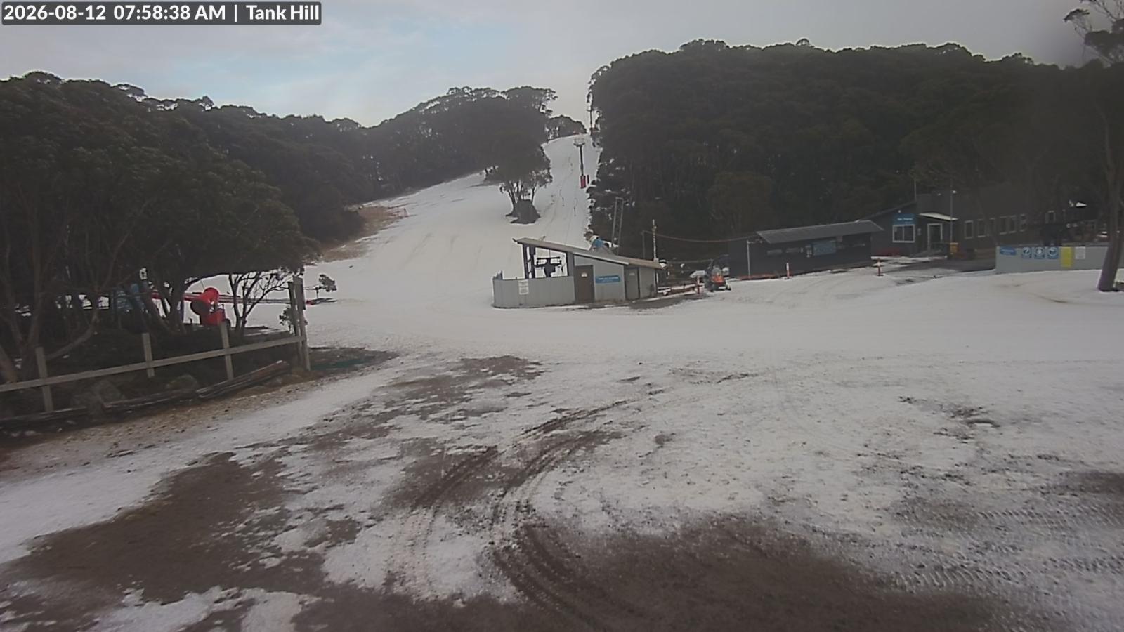 Webcam Mount Baw Baw: Tank Hill