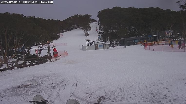 Webcam Mount Baw Baw: Tank Hill