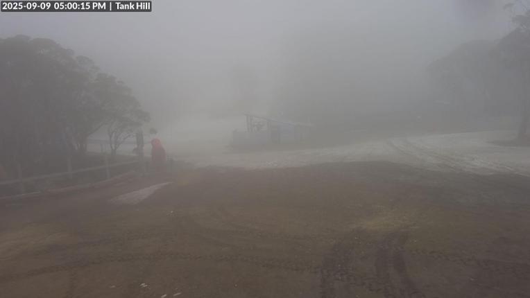 Webcam Mount Baw Baw: Tank Hill