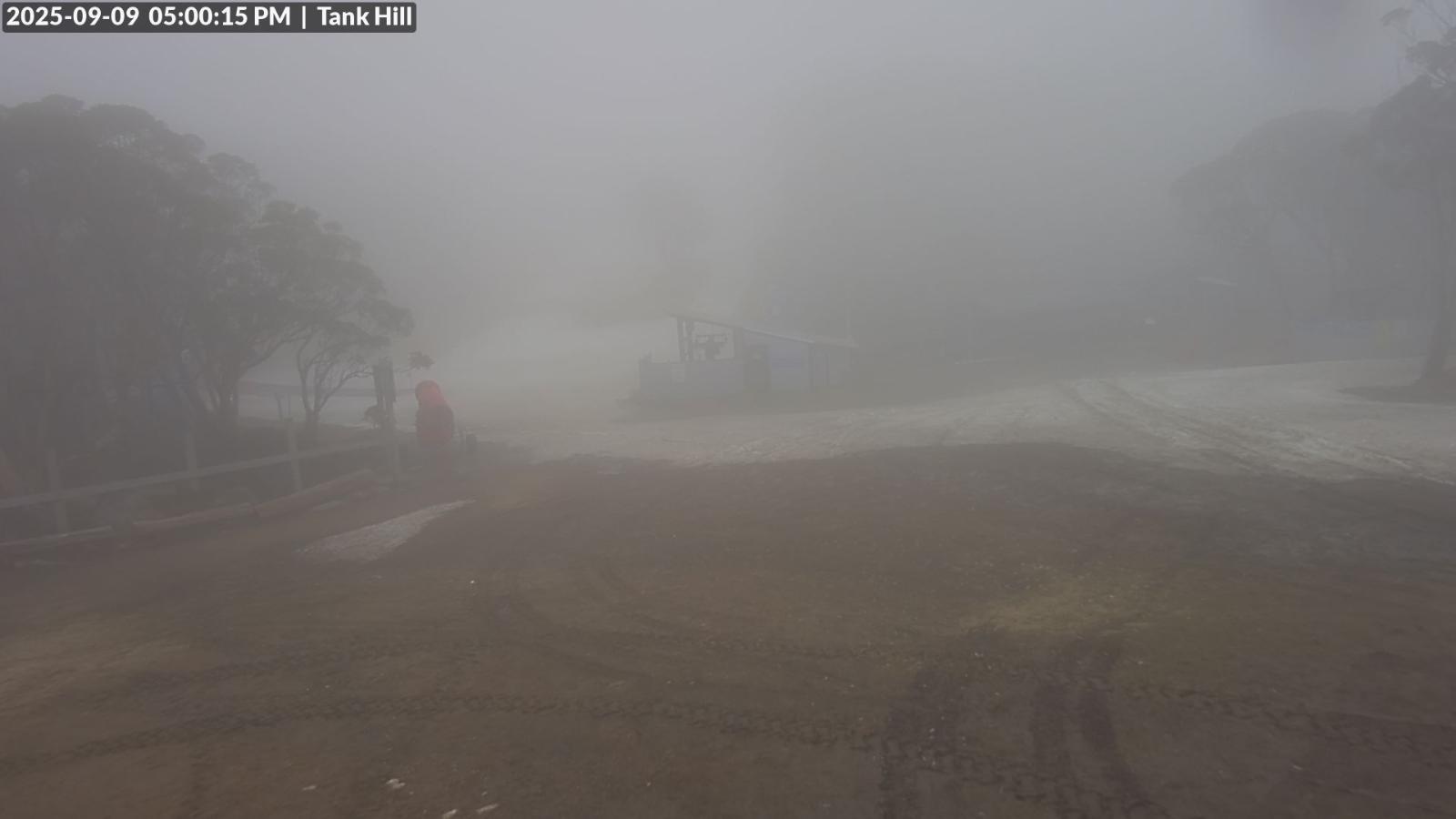 Webcam Mount Baw Baw: Tank Hill