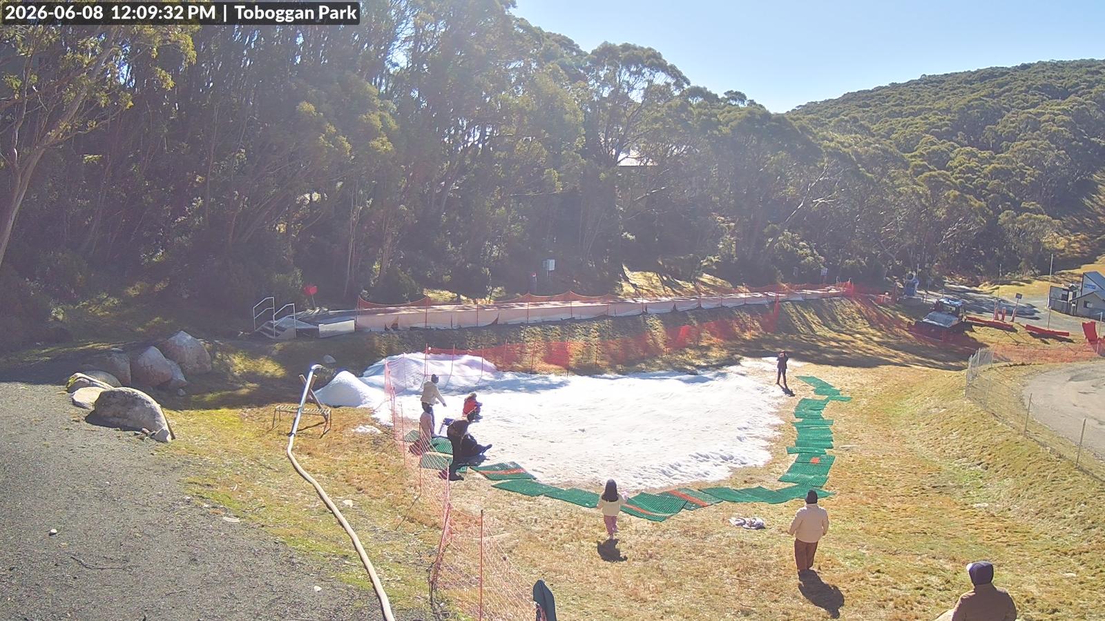 Webcam Mount Baw Baw: Toboggan park