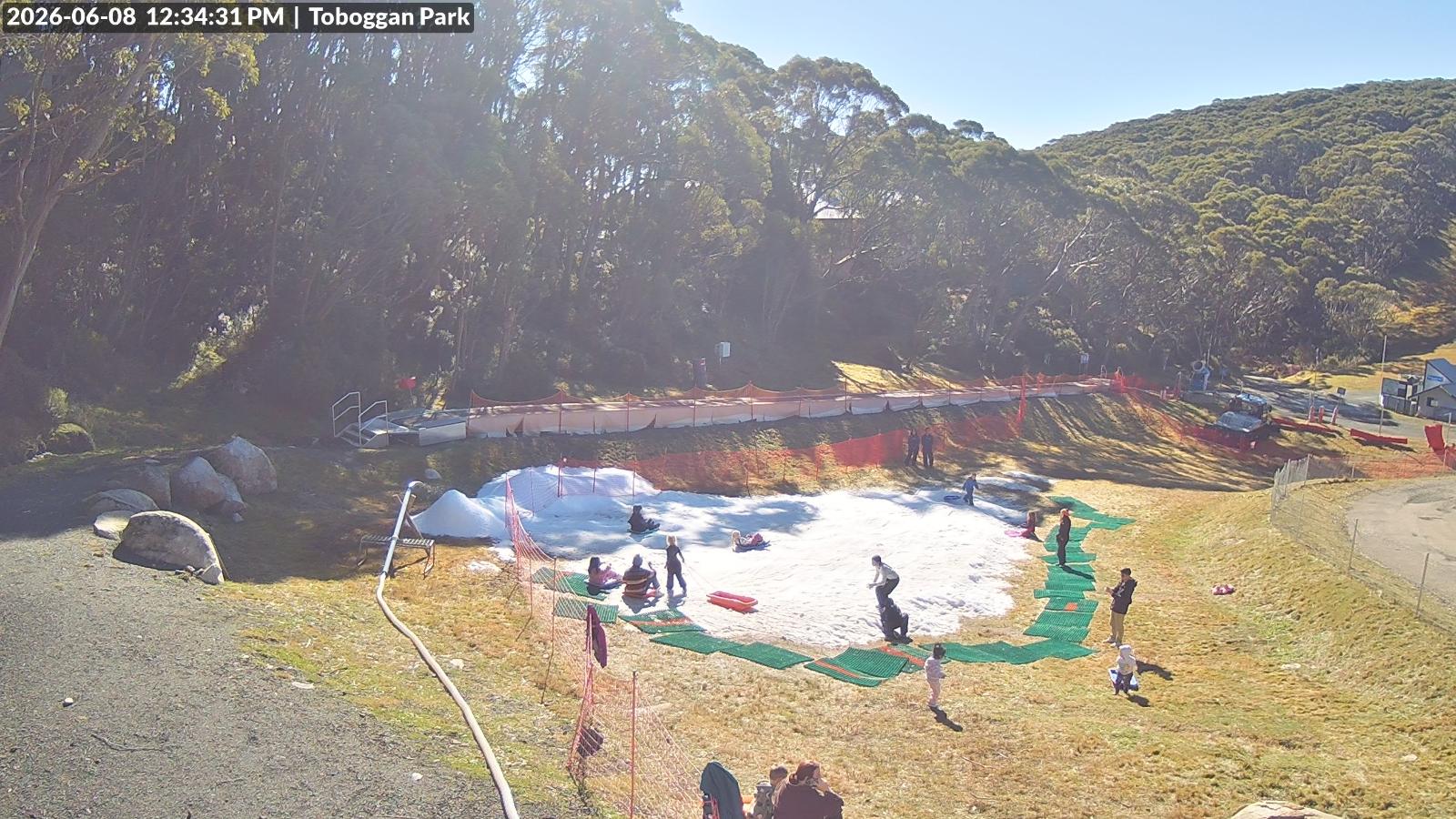 Webcam Mount Baw Baw: Toboggan park