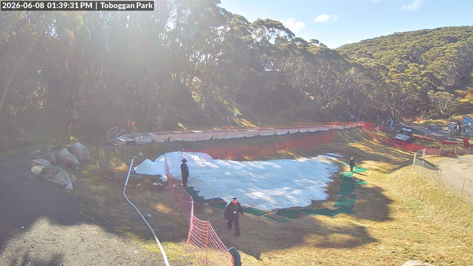 Webcam Mount Baw Baw: Toboggan park