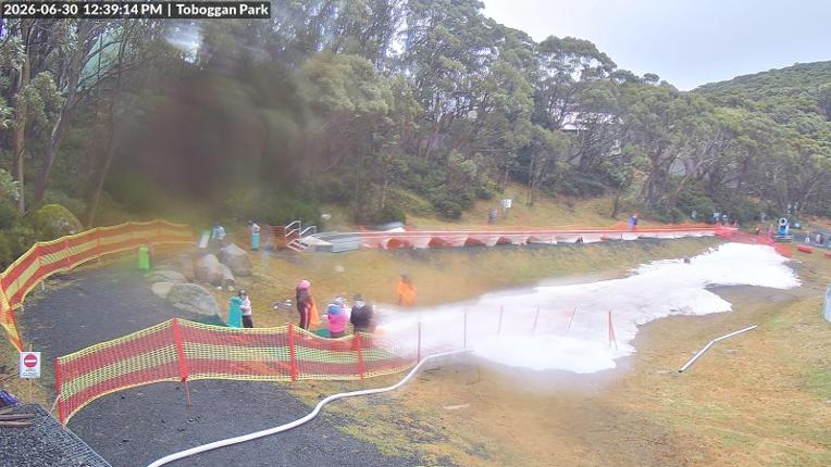 Webcam Mount Baw Baw: Toboggan park