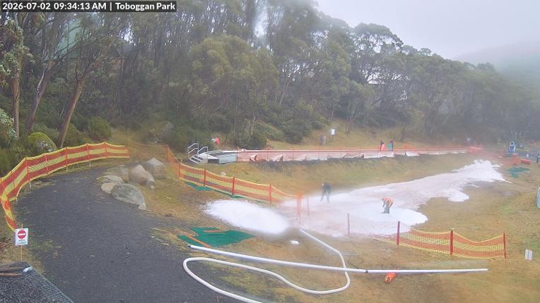 Webcam Mount Baw Baw: Toboggan park