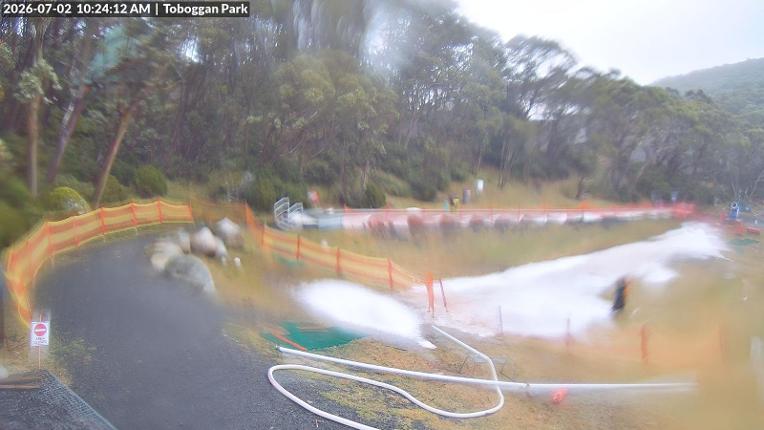 Webcam Mount Baw Baw: Toboggan park