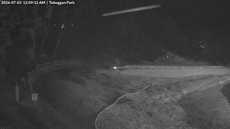 Webcam Mount Baw Baw: Toboggan park