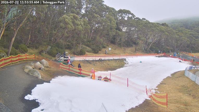 Webcam Mount Baw Baw: Toboggan park