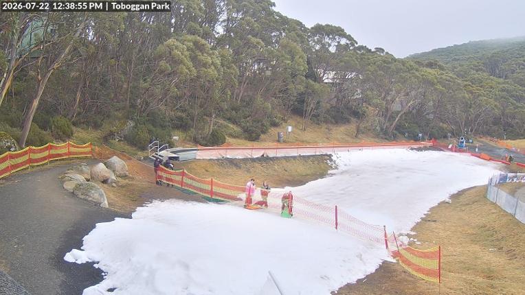 Webcam Mount Baw Baw: Toboggan park
