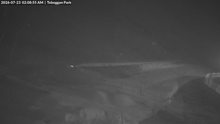 Webcam Mount Baw Baw: Toboggan park