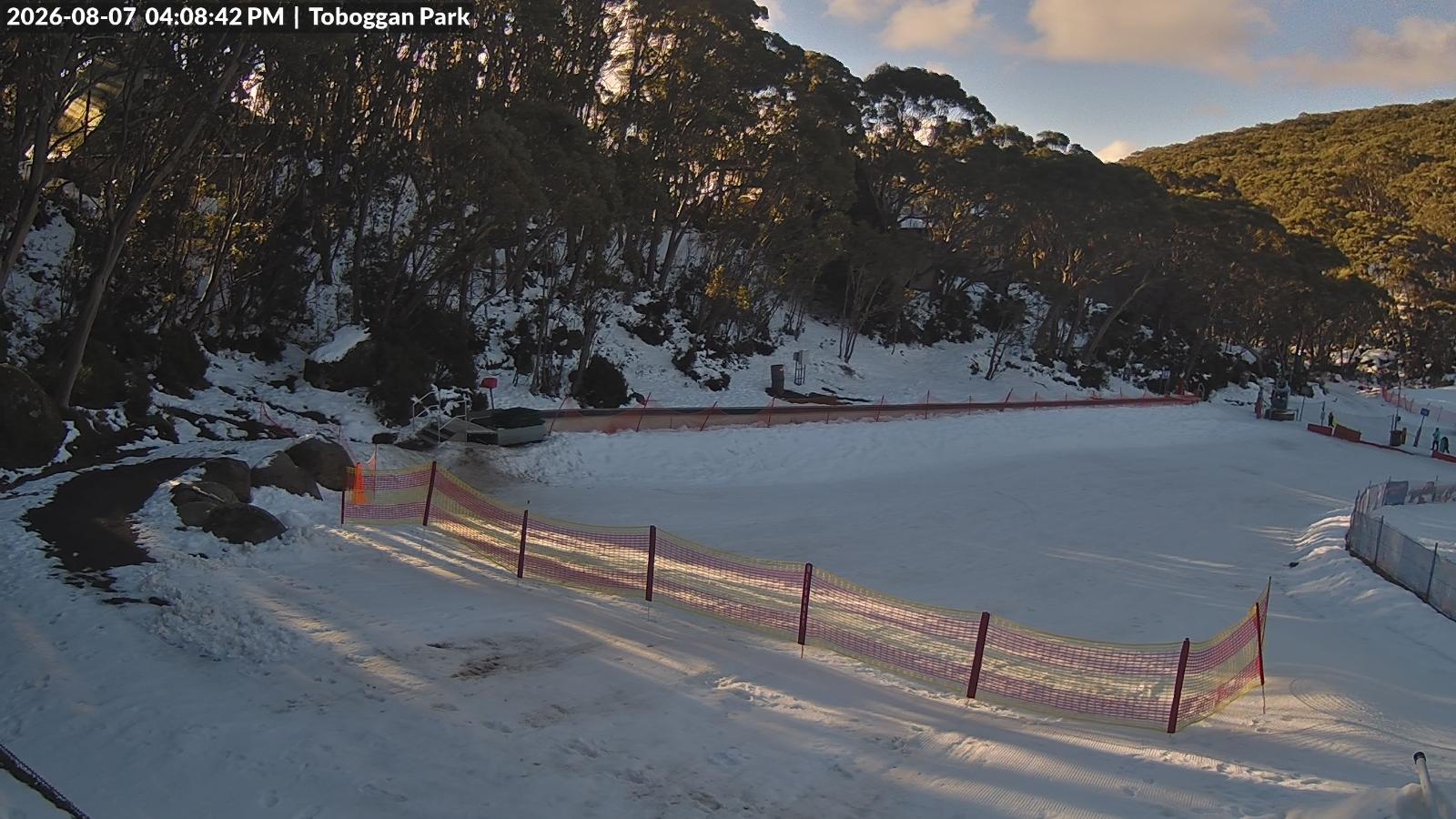 Webcam Mount Baw Baw: Toboggan park