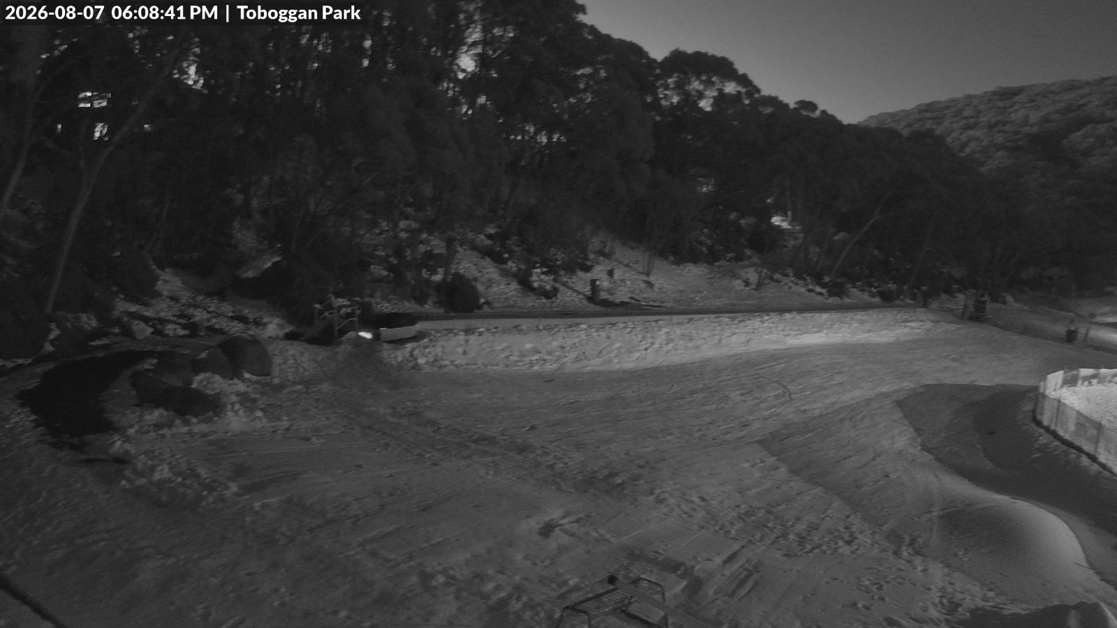Webcam Mount Baw Baw: Toboggan park