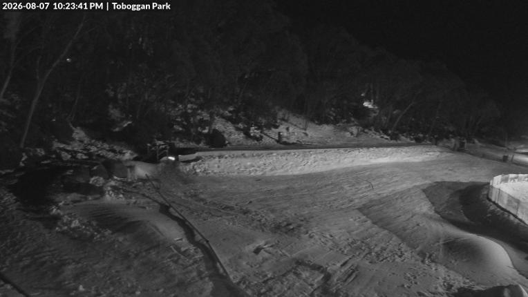 Webcam Mount Baw Baw: Toboggan park