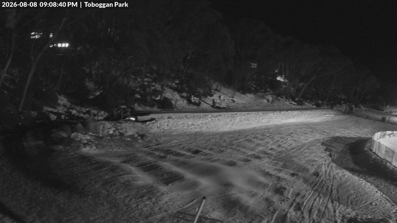 Webcam Mount Baw Baw: Toboggan park
