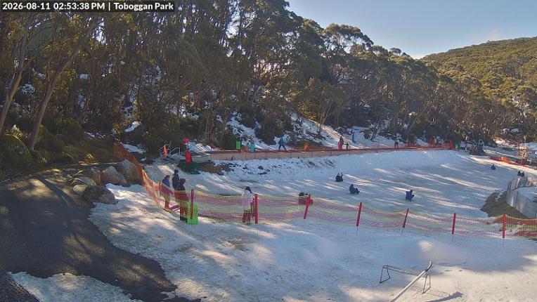 Webcam Mount Baw Baw: Toboggan park
