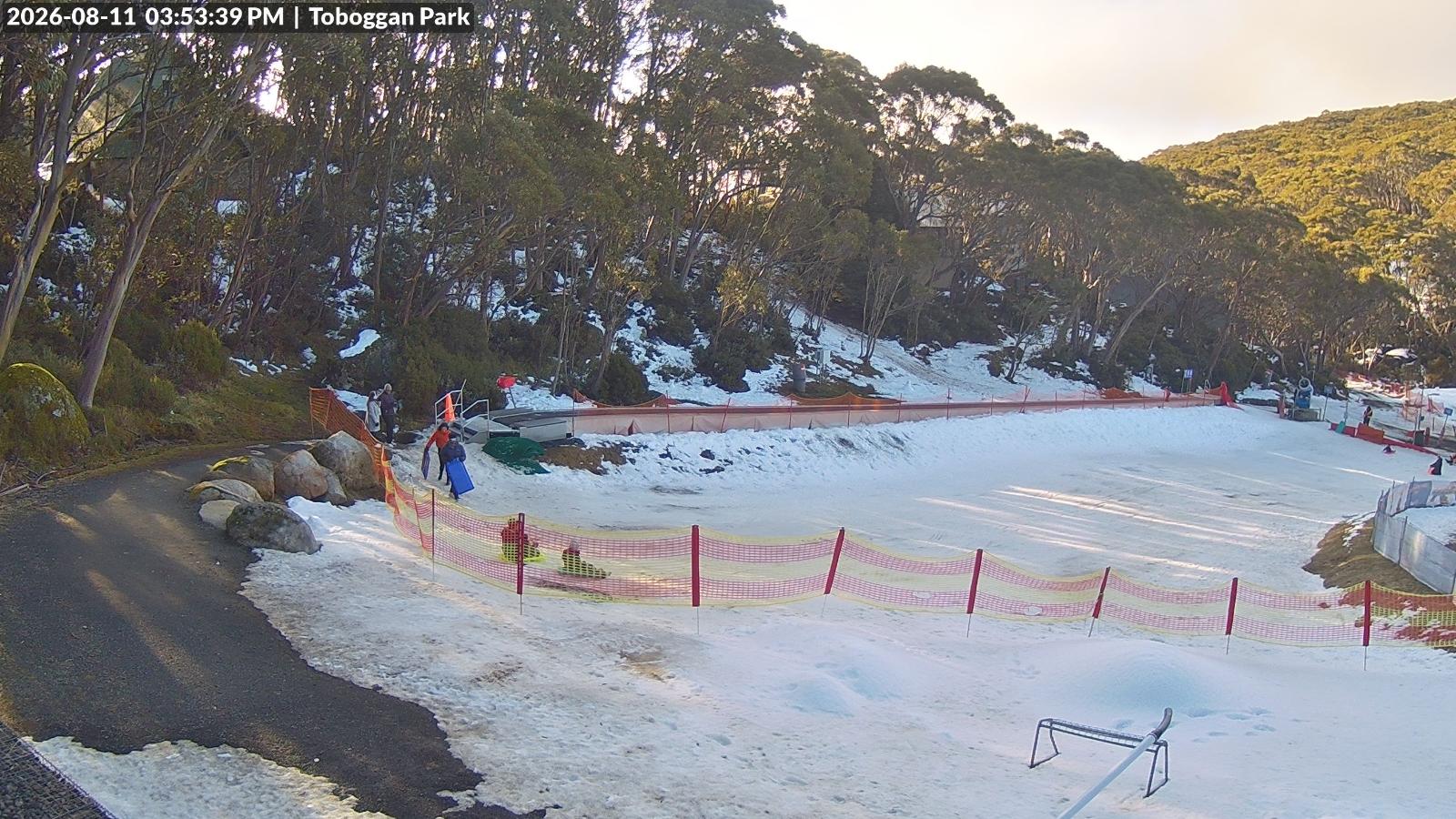 Webcam Mount Baw Baw: Toboggan park