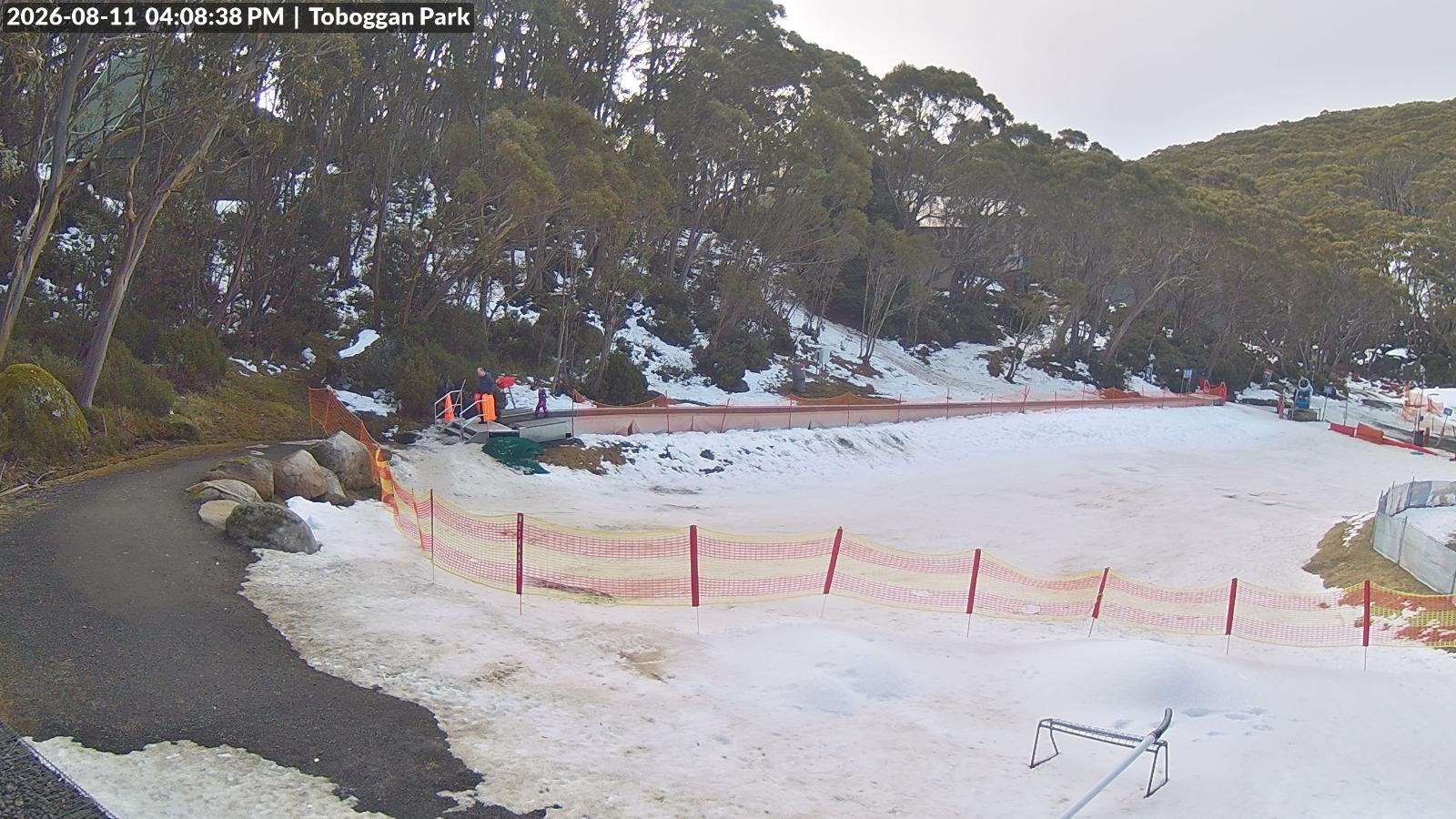 Webcam Mount Baw Baw: Toboggan park