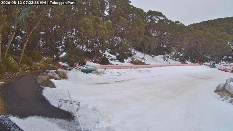 Webcam Mount Baw Baw: Toboggan park