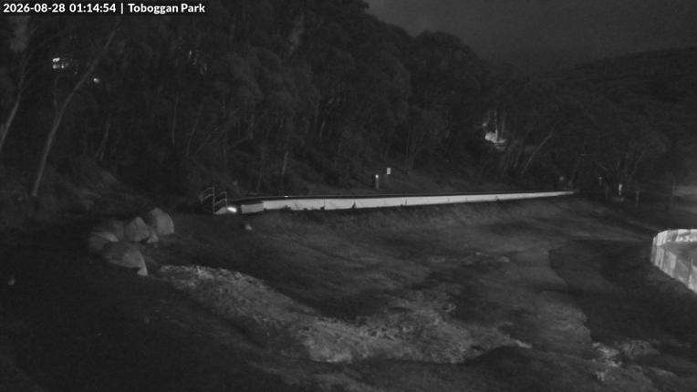 Webcam Mount Baw Baw: Toboggan park