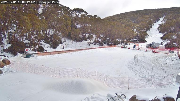 Webcam Mount Baw Baw: Toboggan park