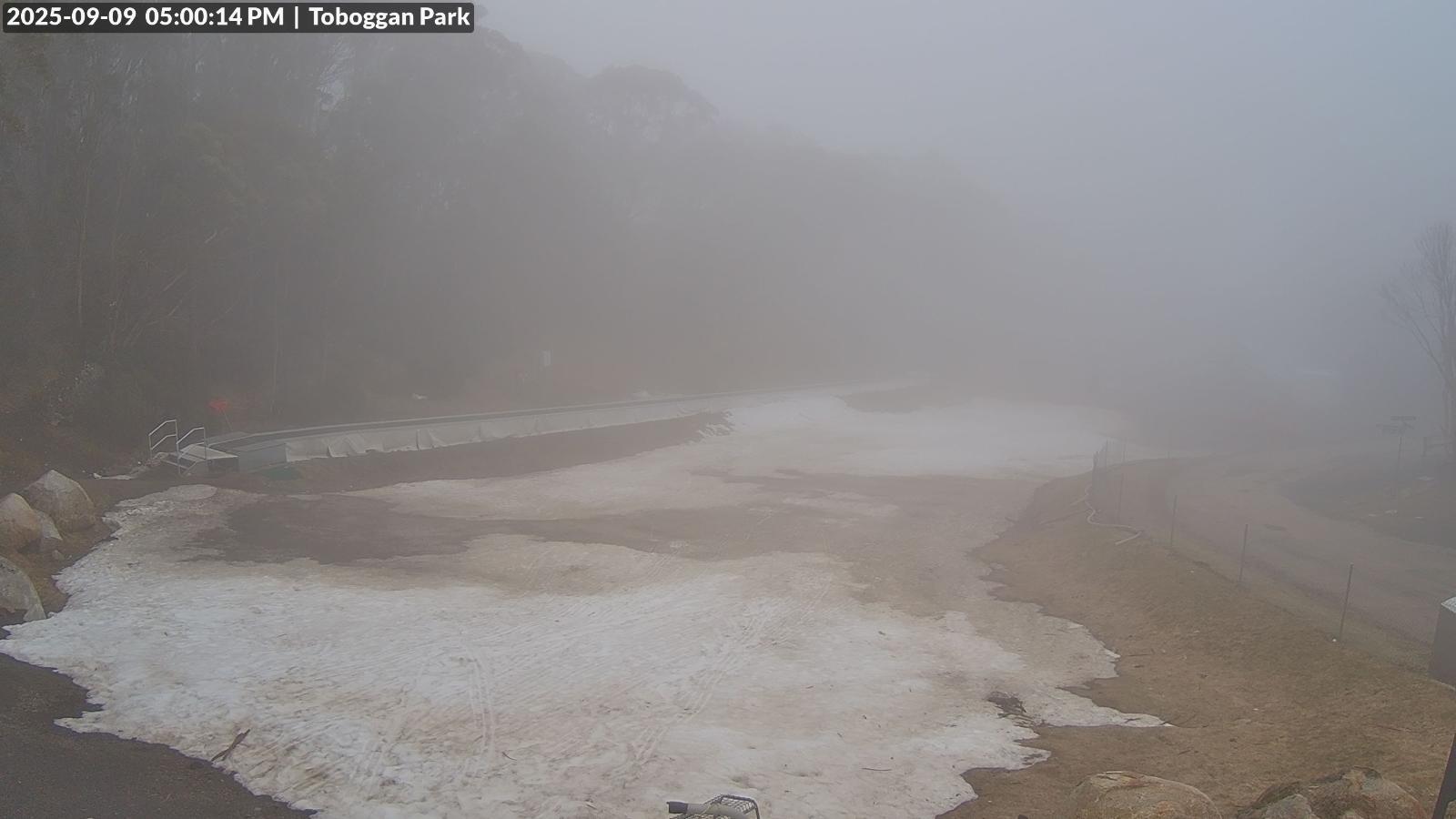 Webcam Mount Baw Baw: Toboggan park