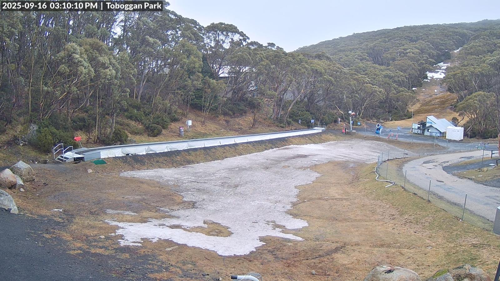 Webcam Mount Baw Baw: Toboggan park