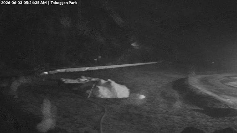 Webcam Mount Baw Baw: Toboggan park