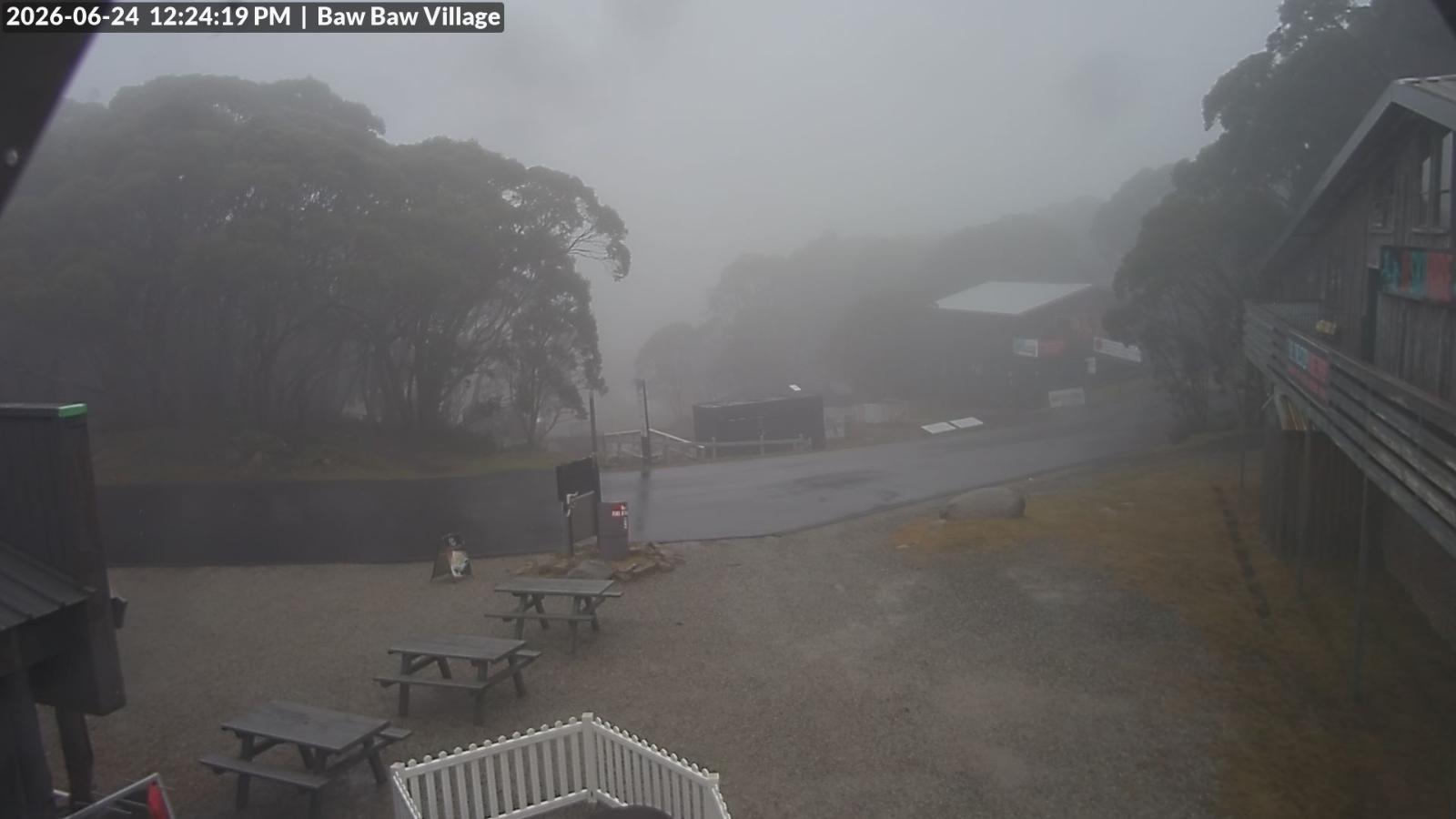 Webcam Mount Baw Baw: Village
