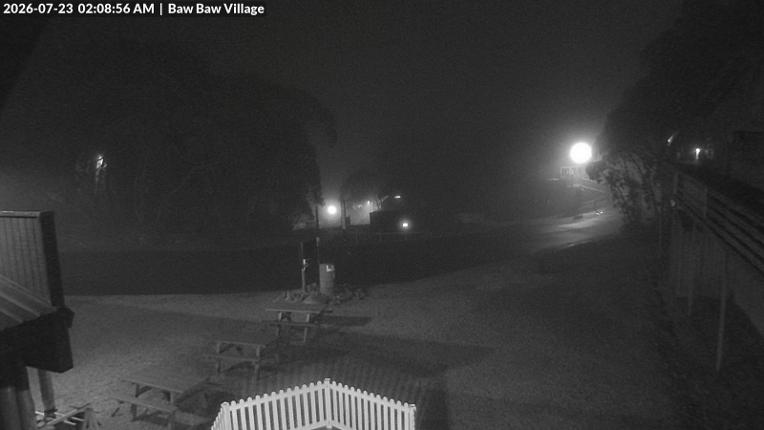 Webcam Mount Baw Baw: Village