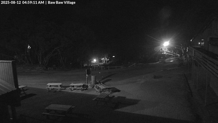Webcam Mount Baw Baw: Village