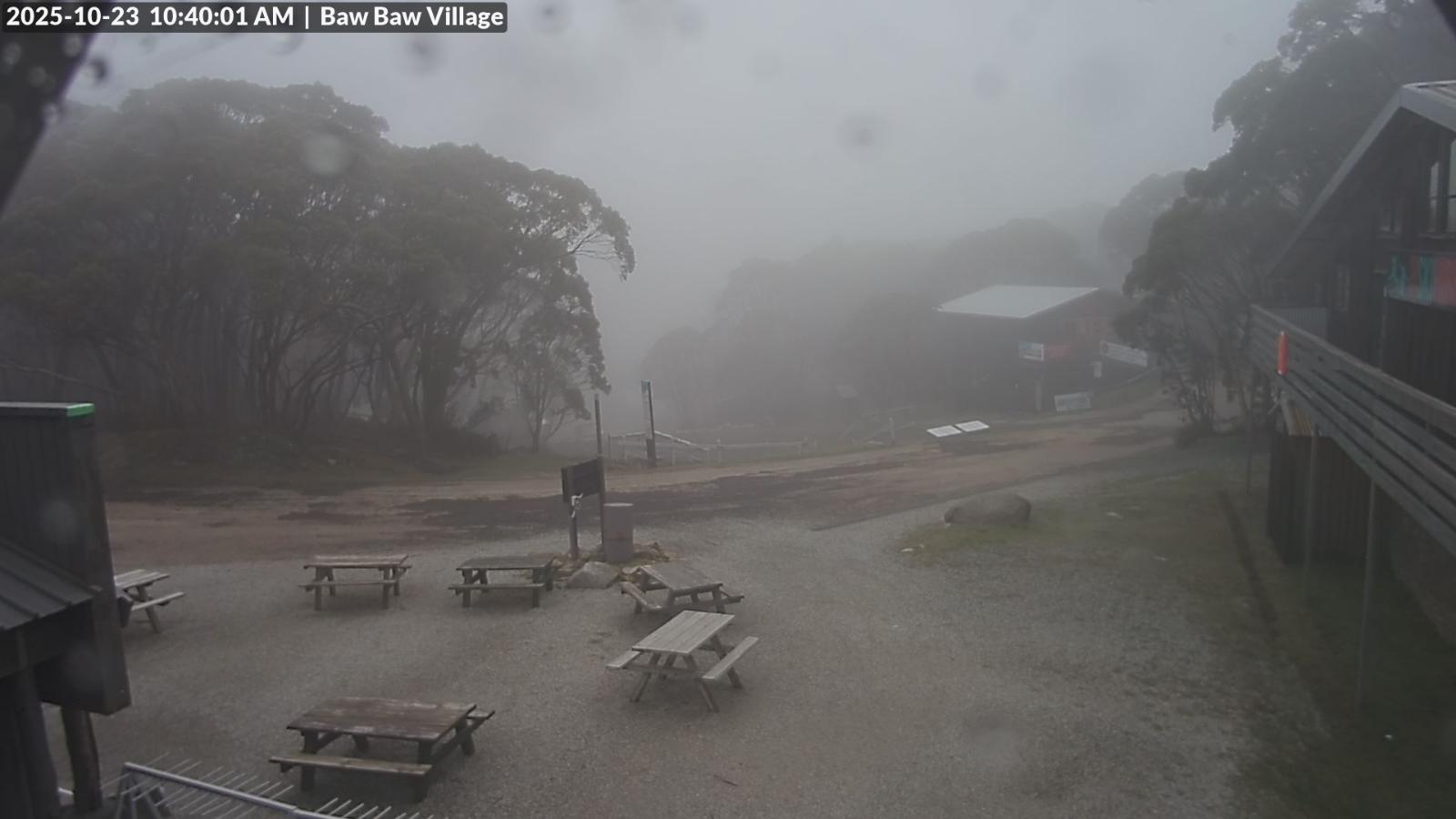 Webcam Mount Baw Baw: Village