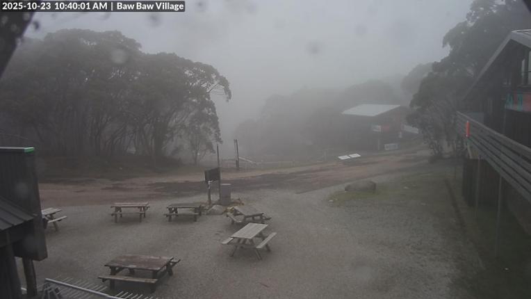 Webcam Mount Baw Baw: Village