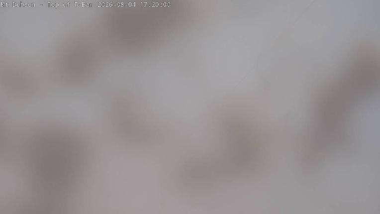 Webcam Mount Dobson: Cam2
