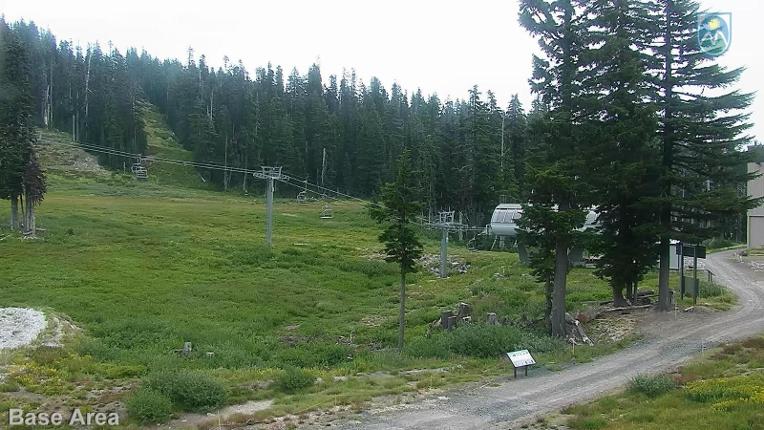 Webcam Mount Hood Meadows: Base