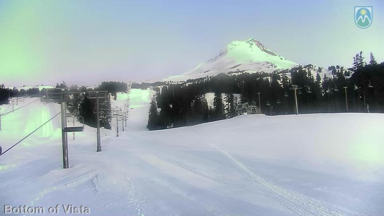 Webcam Mount Hood Meadows: Bottom of Vista