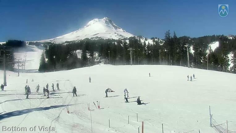 Webcam Mount Hood Meadows: Bottom of Vista