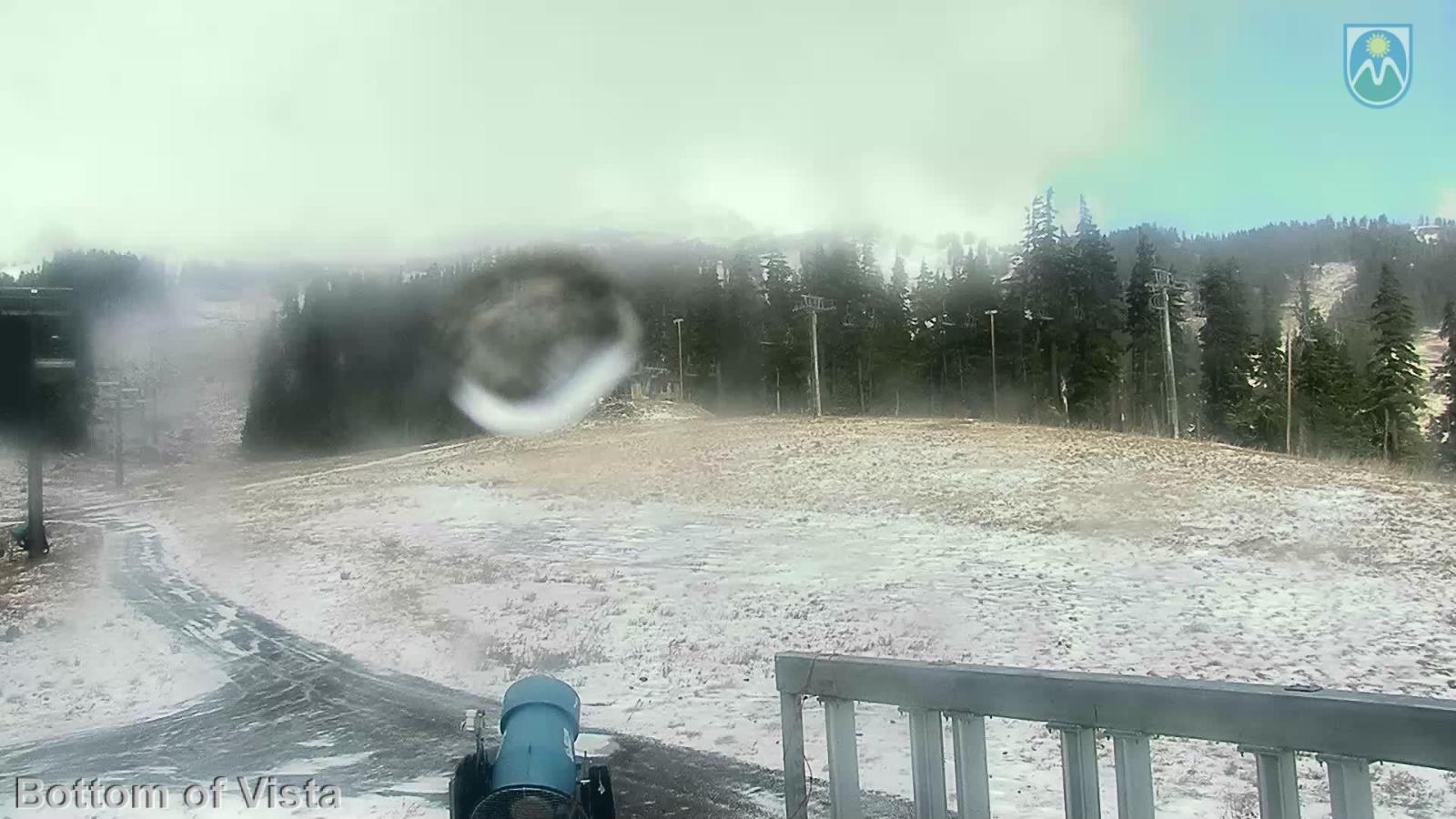 Webcam Mount Hood Meadows: Bottom of Vista
