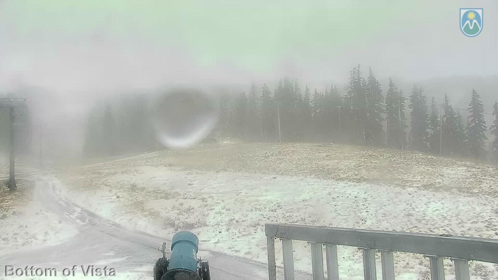 Webcam Mount Hood Meadows: Bottom of Vista