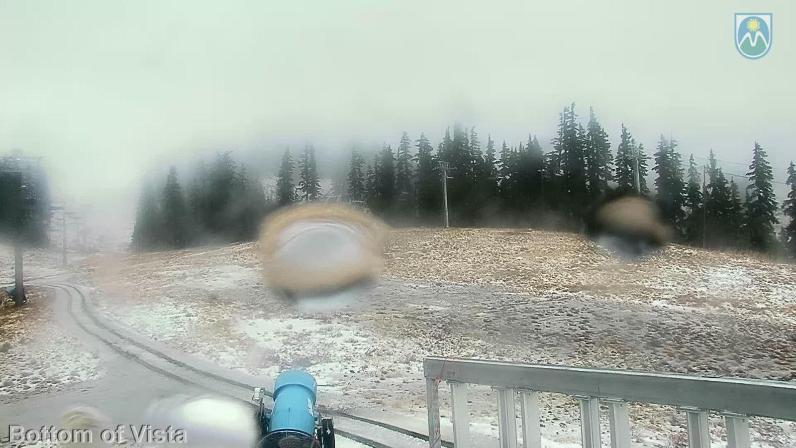 Webcam Mount Hood Meadows: Bottom of Vista