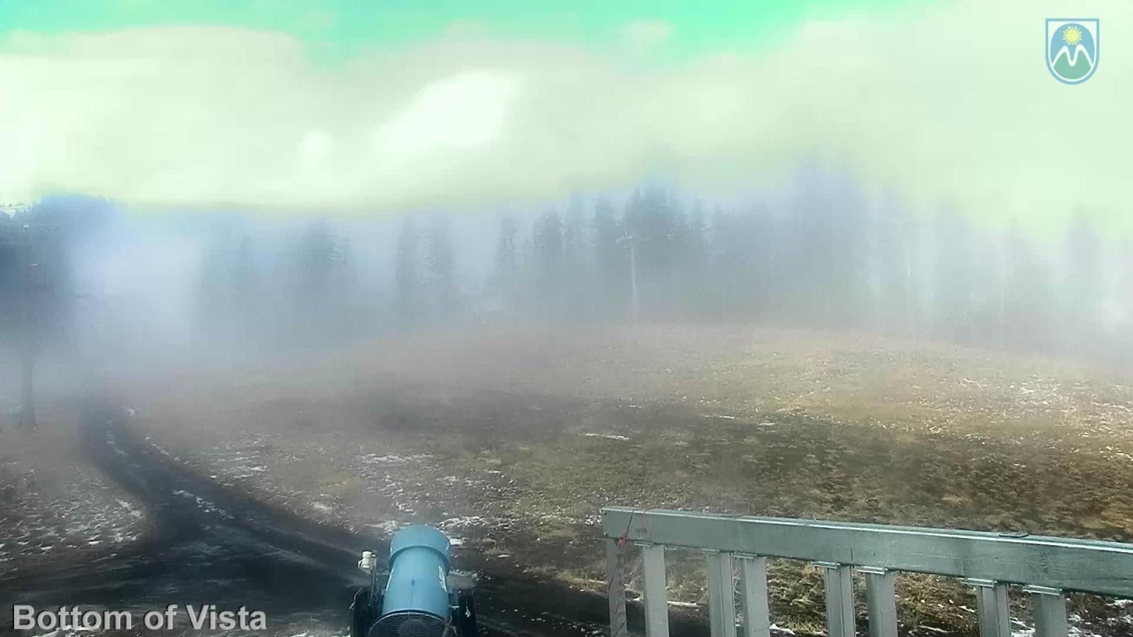 Webcam Mount Hood Meadows: Bottom of Vista