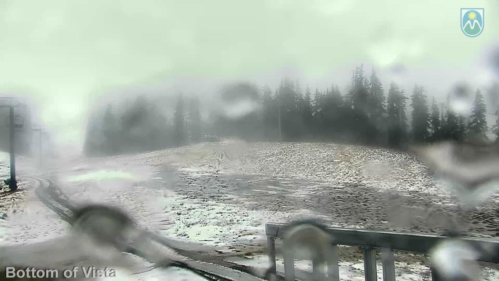 Webcam Mount Hood Meadows: Bottom of Vista