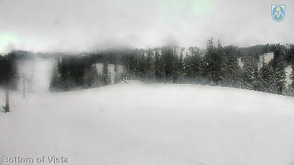 Mount Hood Meadows: Bottom of Vista (mthood.info)