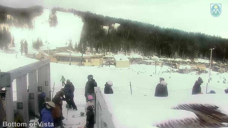 Webcam Mount Hood Meadows: Bottom of Vista