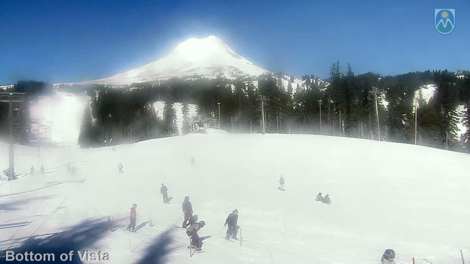 Webcam Mount Hood Meadows: Bottom of Vista