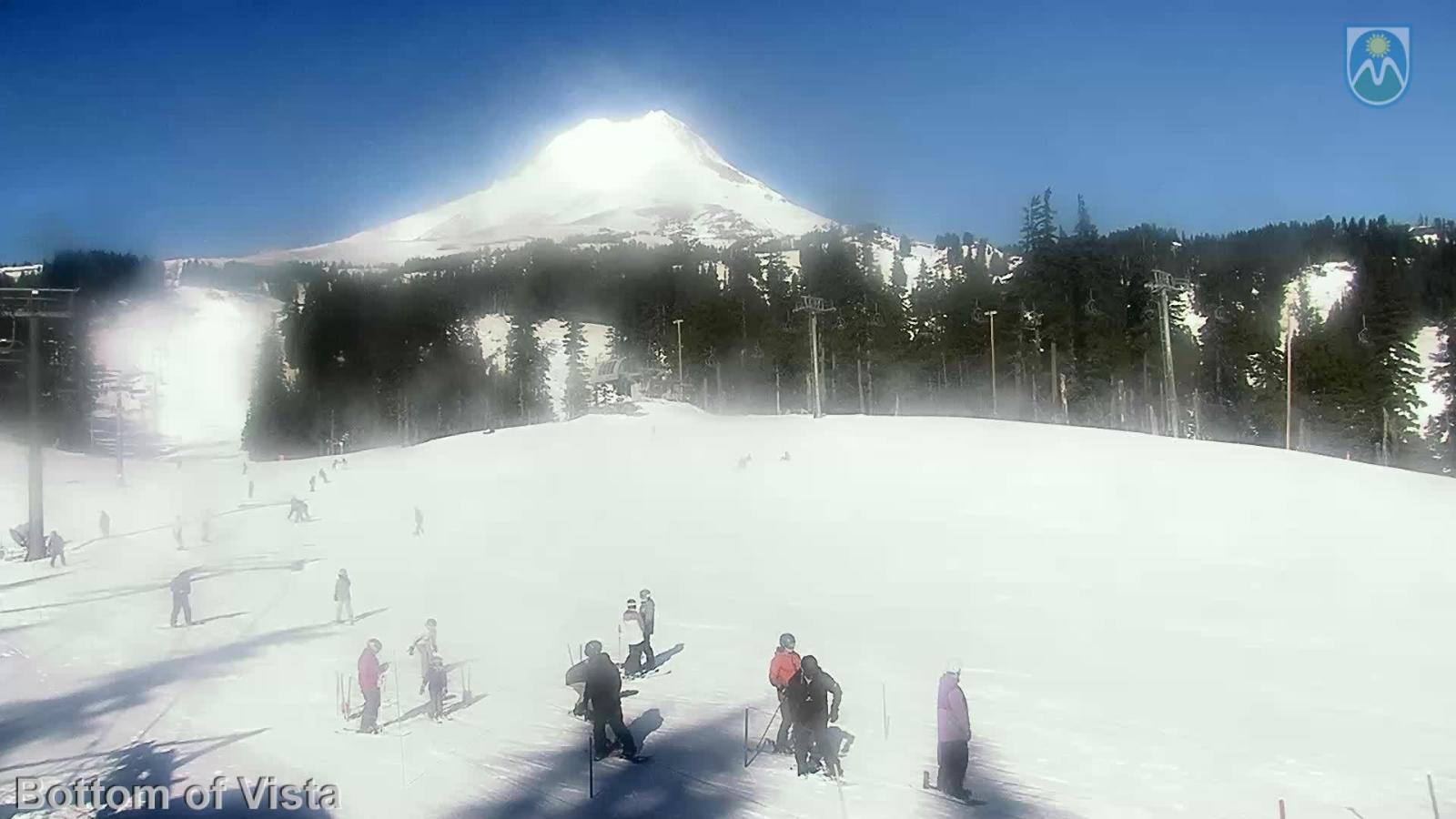 Webcam Mount Hood Meadows: Bottom of Vista