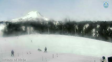 Mount Hood Meadows: Bottom of Vista (mthood.info)